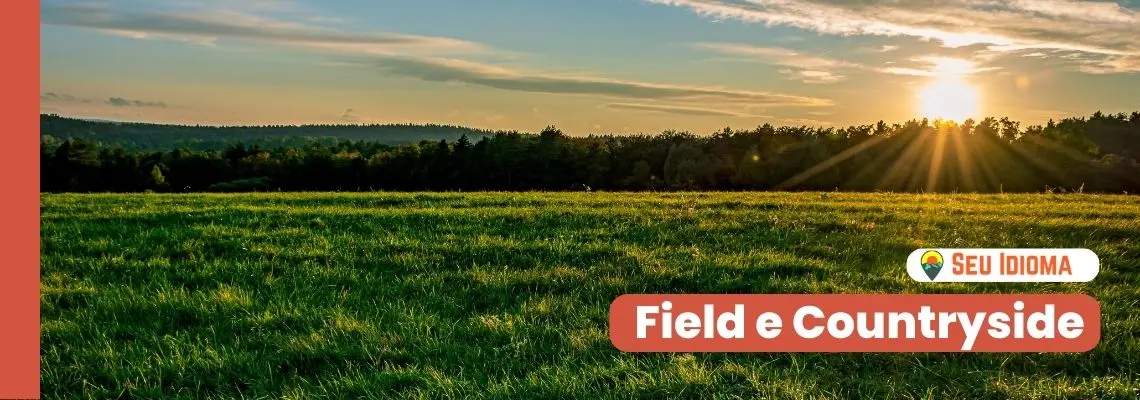 Diferença entre field e countryside