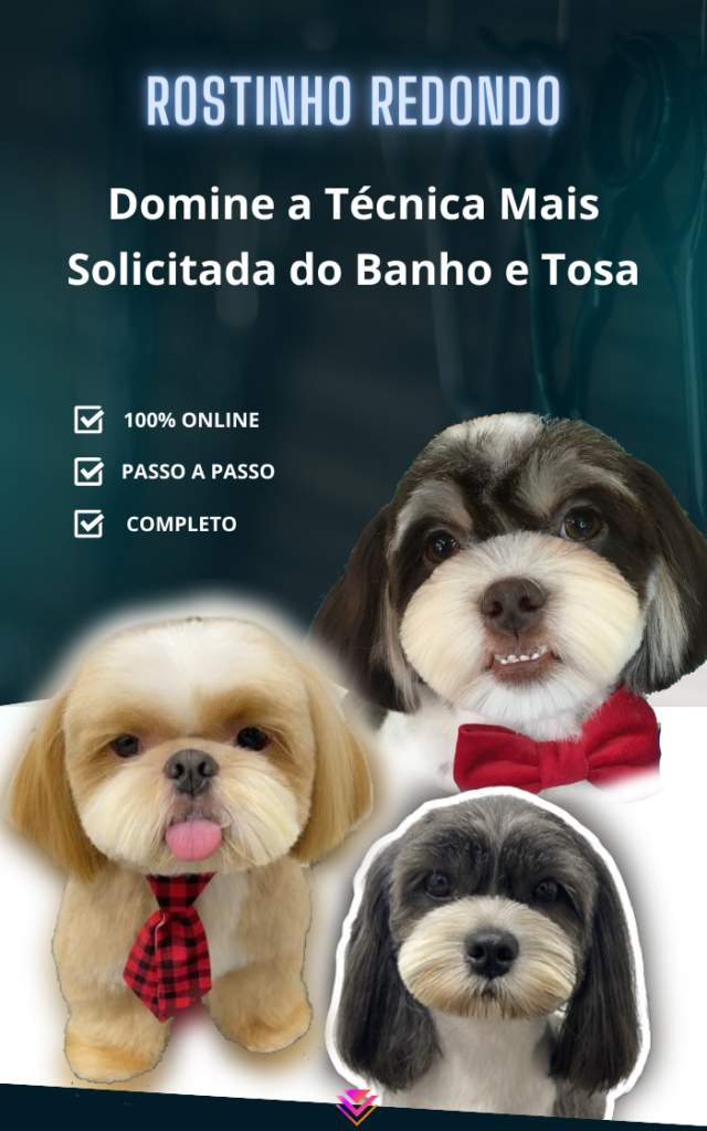 2 - Curso de banho e tosa rostinho redondo